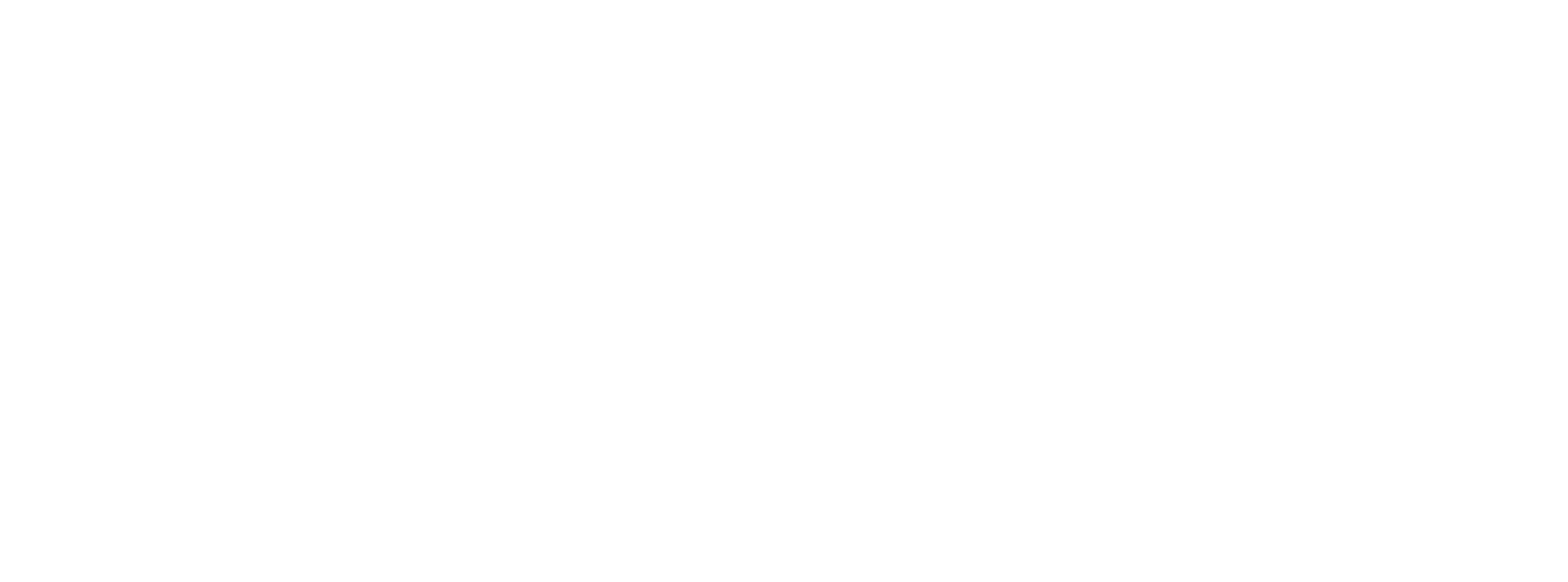 The ENFORCER Store
